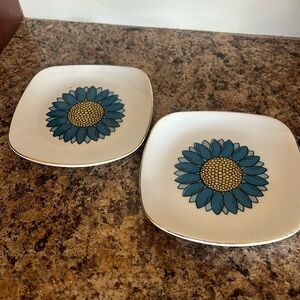 Vintage Blue Floral Plates
